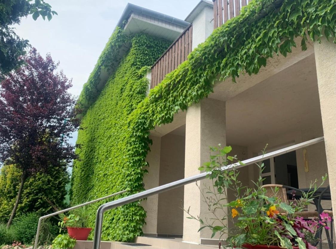 Dom V Zahrade Hotel Podhájska Buitenkant foto